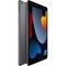 Планшет Apple iPad 10.2 2021, 256 ГБ, Wi-Fi, серый космос - фото 10336
