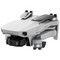 Квадрокоптер DJI Mini 2 - фото 12572