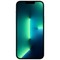 Смартфон Apple iPhone 13 Pro Max 1 ТБ, nano SIM+eSIM, серебристый - фото 9153